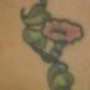 Meet your Posher, Karen